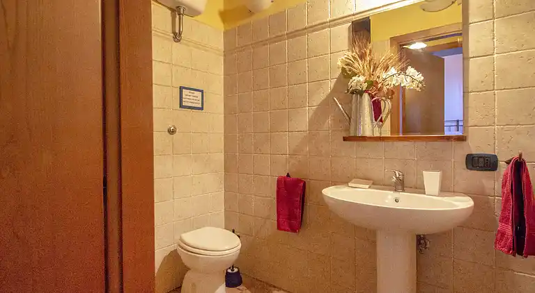 Feriebolig i Castellina in Chianti