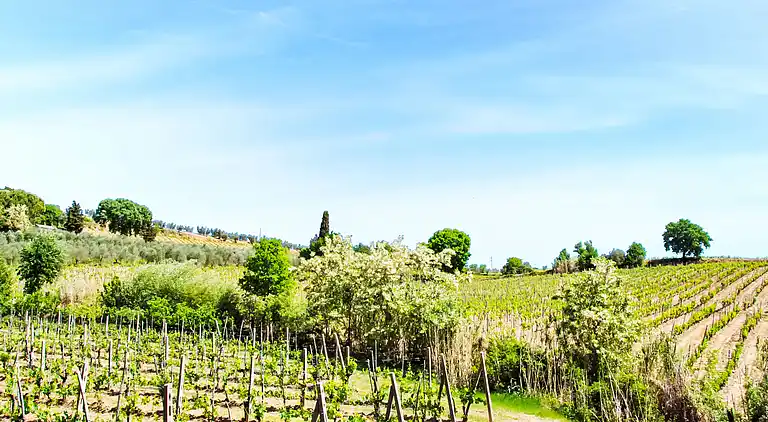 Holiday home in Poggibonsi