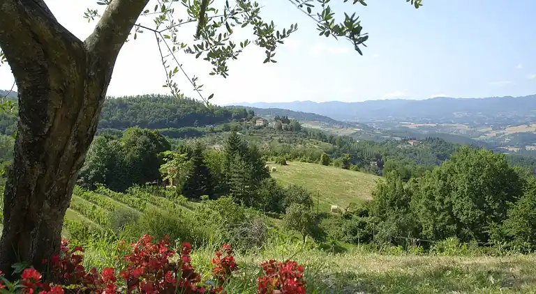 Holiday home in Dicomano