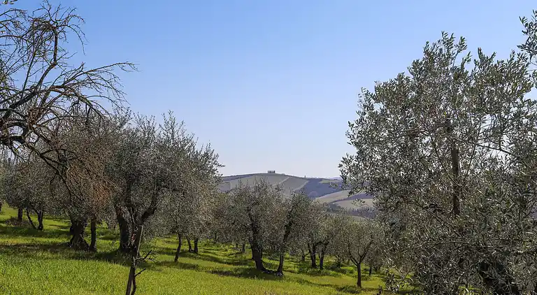 Feriebolig i La Gruccia