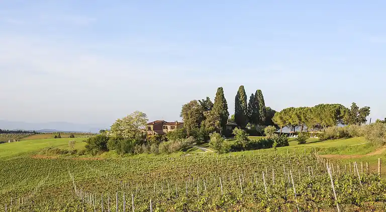 Feriebolig i Barberino Tavarnelle