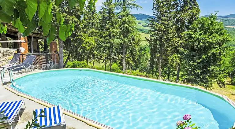 Feriebolig i Radda in Chianti