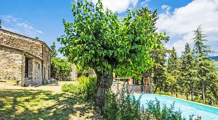 Feriebolig i Radda in Chianti