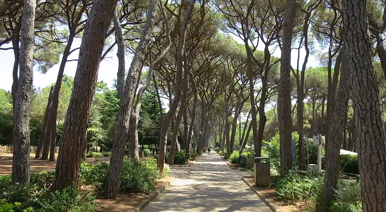 Feriebolig i Rosignano Marittimo