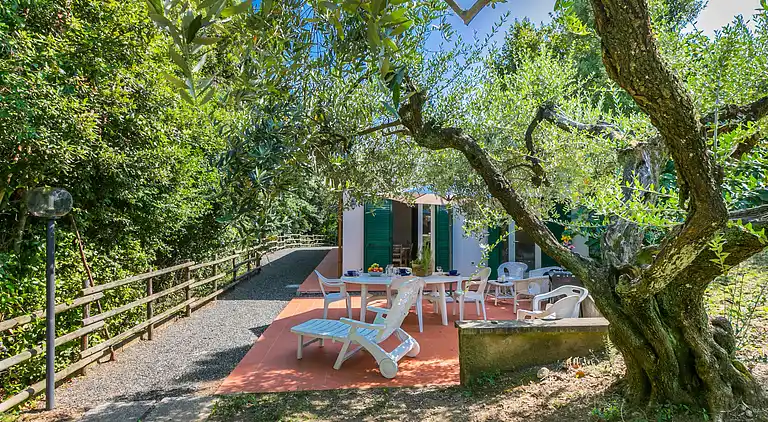 Holiday home in Rosignano Marittimo