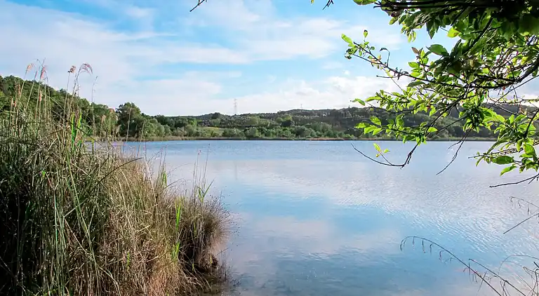 Casa de vacaciones en Massa Marittima