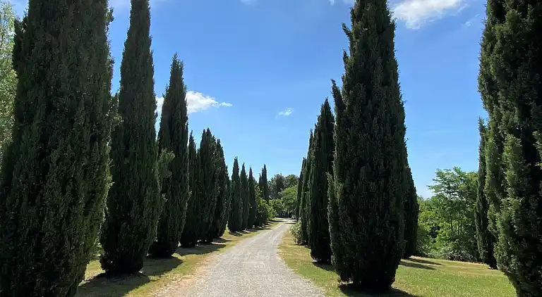 Feriebolig i Riparbella