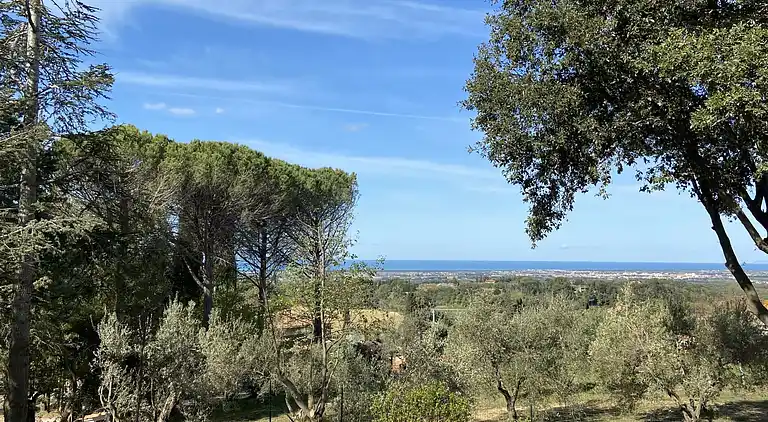 Feriebolig i Casale Marittimo