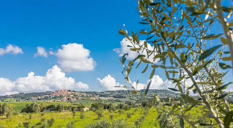 Feriebolig i Casale Marittimo