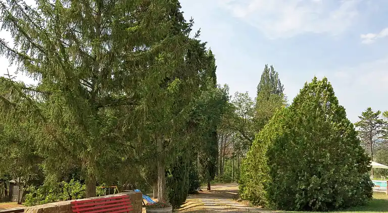 Holiday home in Peccioli