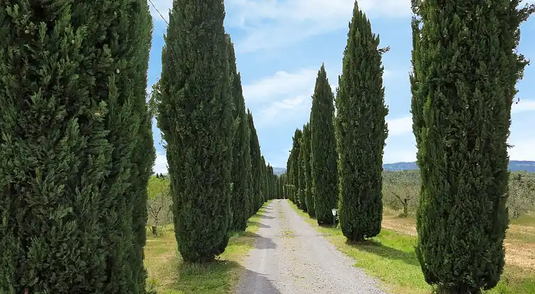 Holiday home in Peccioli