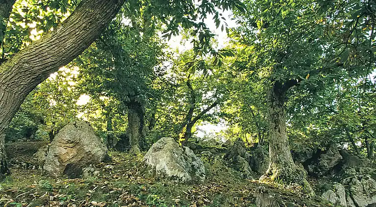 Holiday home in Roccastrada