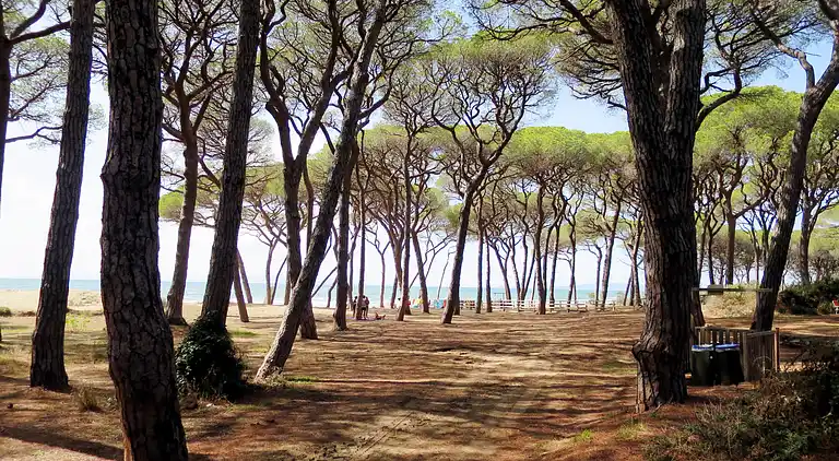 Feriebolig i Scarlino