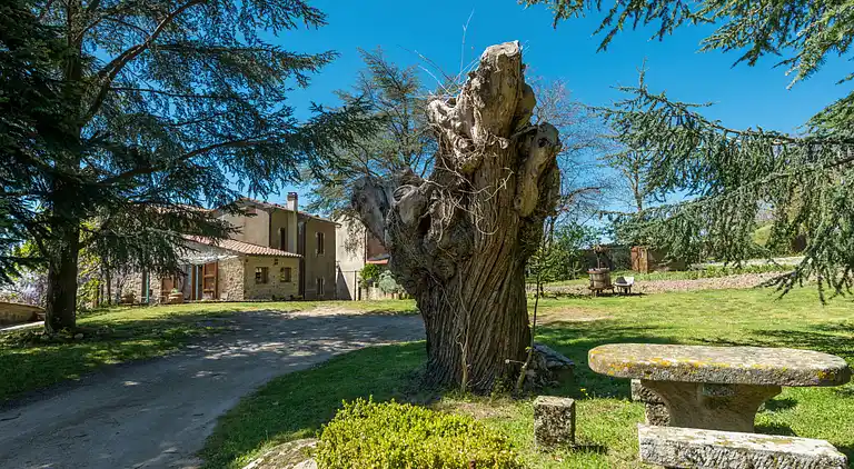 Feriebolig i Sassofortino