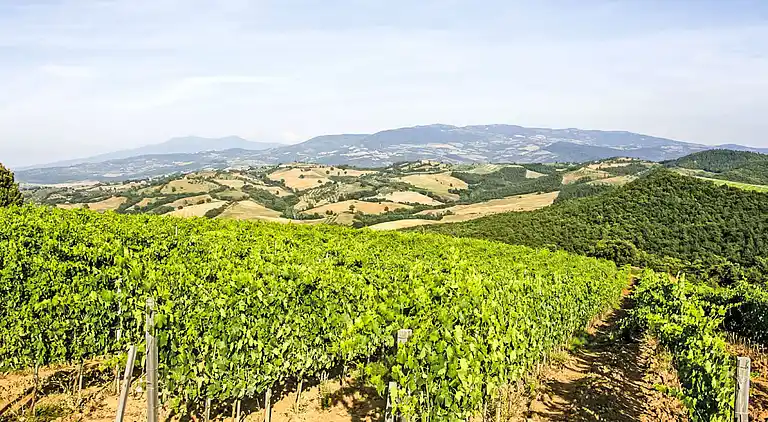 Holiday home in La Cava