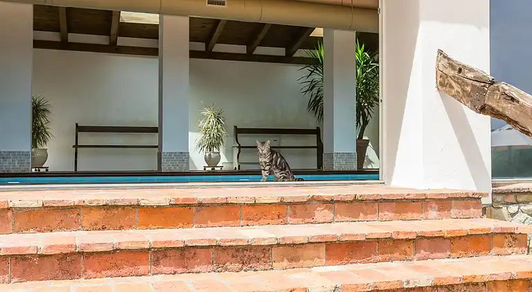 Holiday home in La Cava