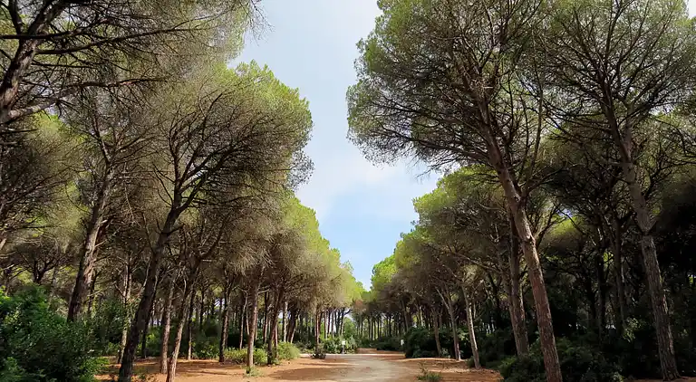 Feriebolig i Porto Santo Stefano