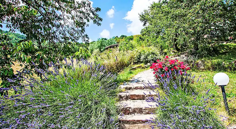 Holiday home in Santa Fiora