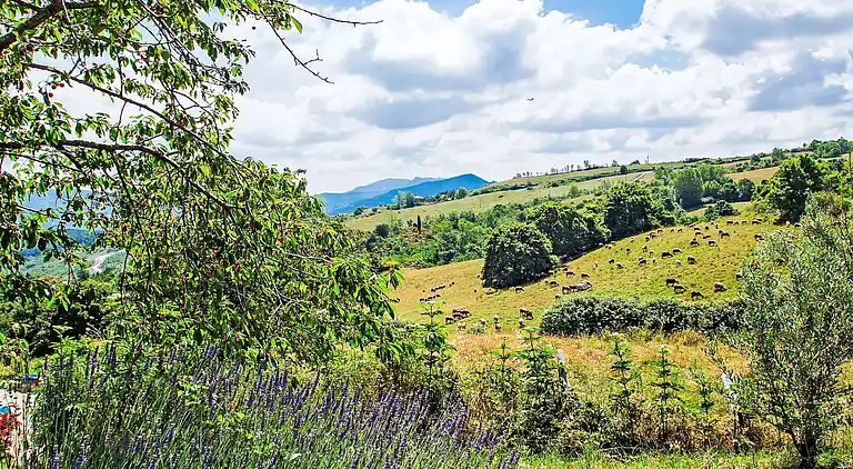 Holiday home in Santa Fiora