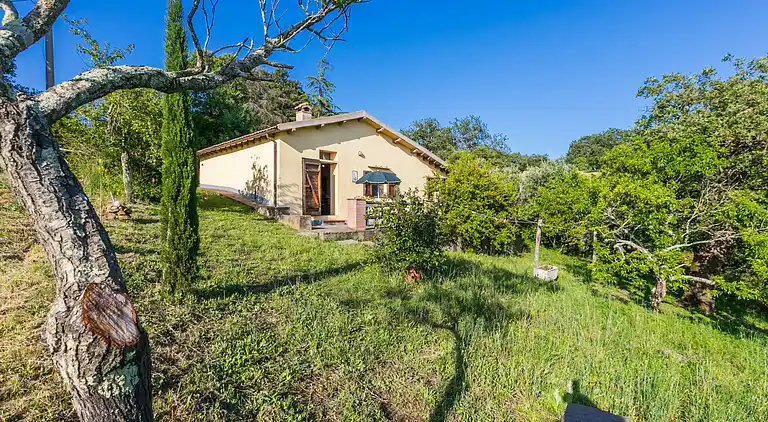 Casa de vacaciones en Scansano