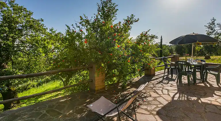 Casa de vacaciones en Scansano