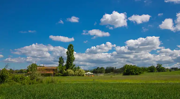 Holiday home in Mecucciami