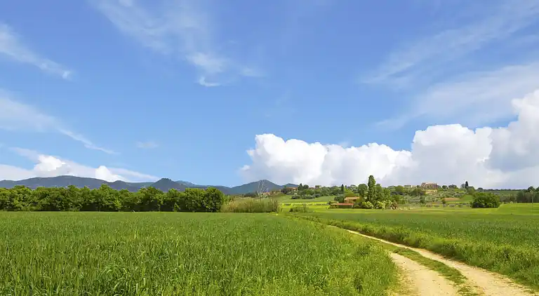 Holiday home in Mecucciami
