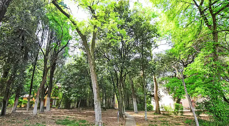 Holiday home in Perugia