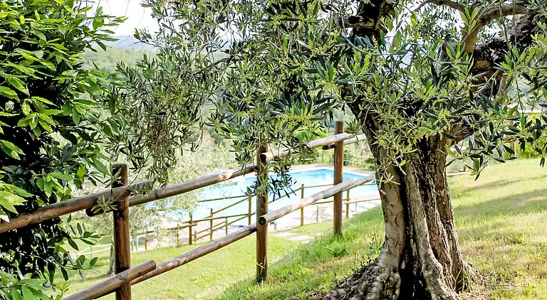 Feriebolig i Città della Pieve