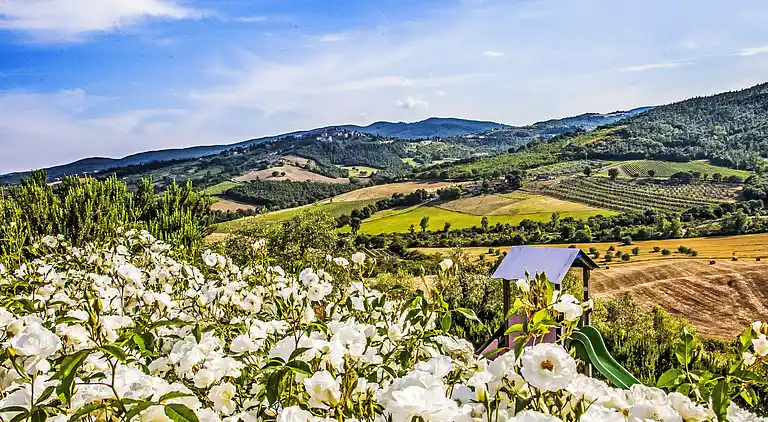 Feriebolig i Allerona