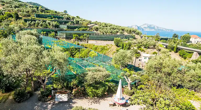 Holiday home in Sant'Anna