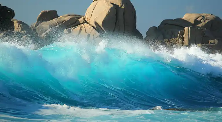 Feriebolig i Portobello