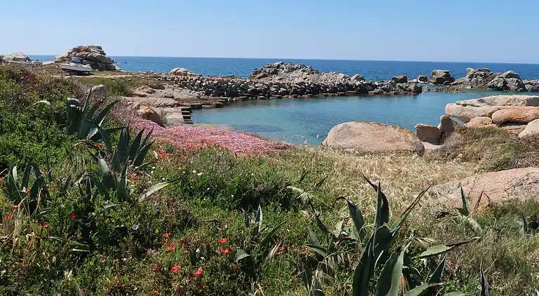 Feriebolig i Portobello