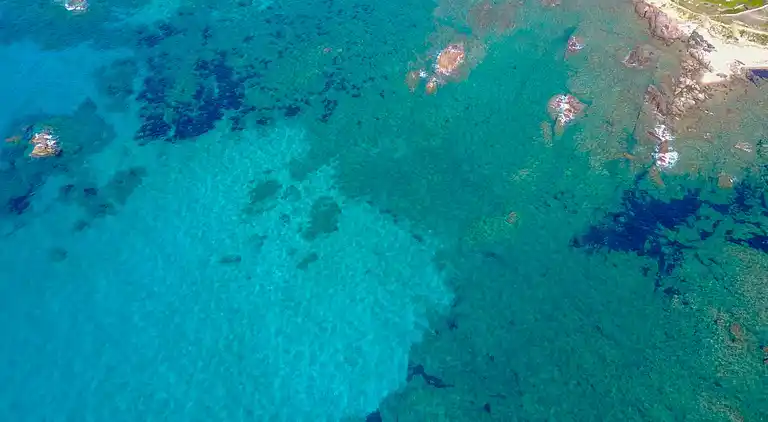 Feriebolig i Portobello