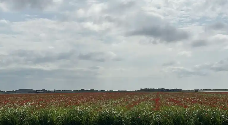 vakantiehuis in Sint Maartensvlotbrug