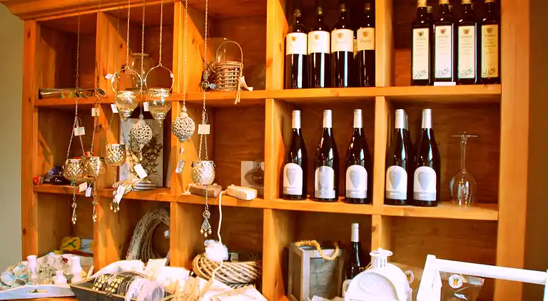 Feriebolig i Hippolytushoef