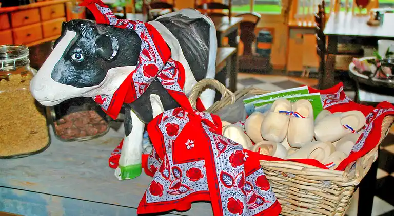 Holiday home in Hippolytushoef