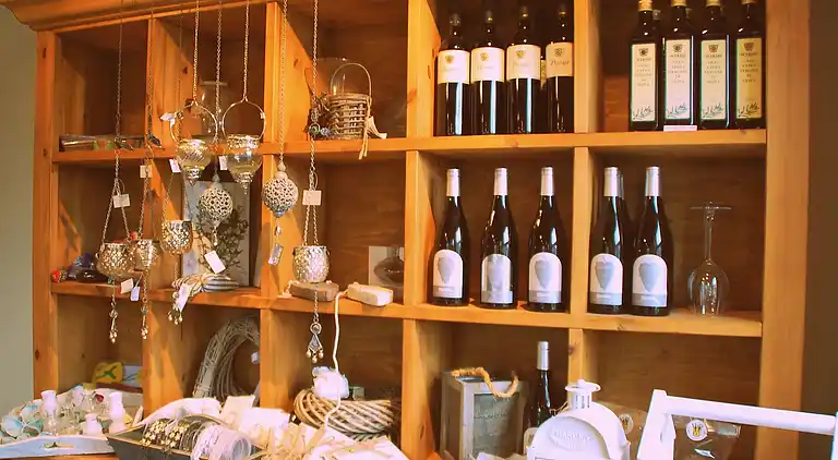 Holiday home in Hippolytushoef