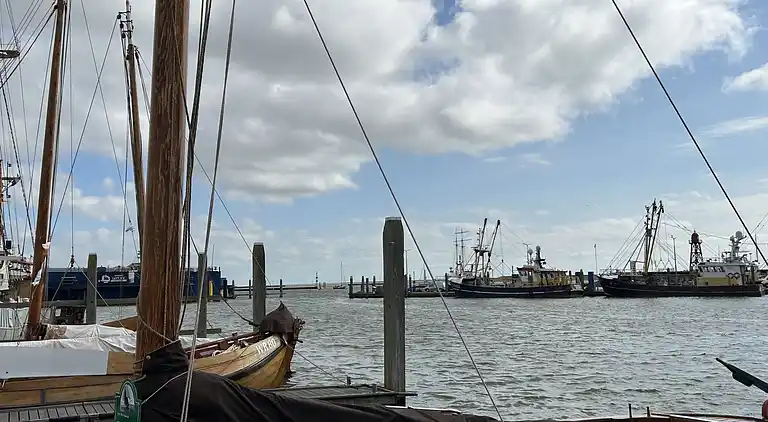 Feriebolig i Den Oever