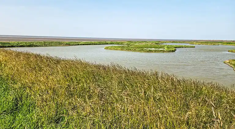 Feriebolig i Den Oever