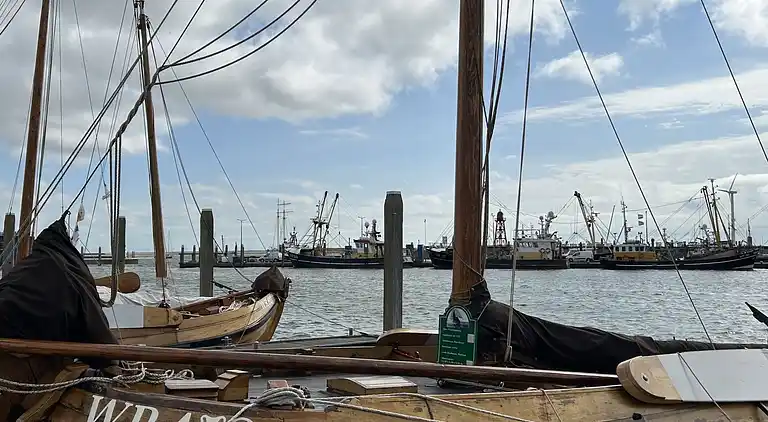 Feriebolig i Den Oever