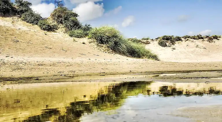 Feriebolig i Zuid-Holland