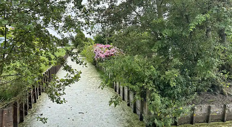 Feriebolig i Zuid-Holland