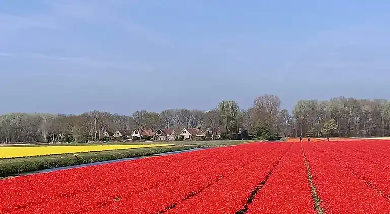 Feriebolig i Zuid-Holland