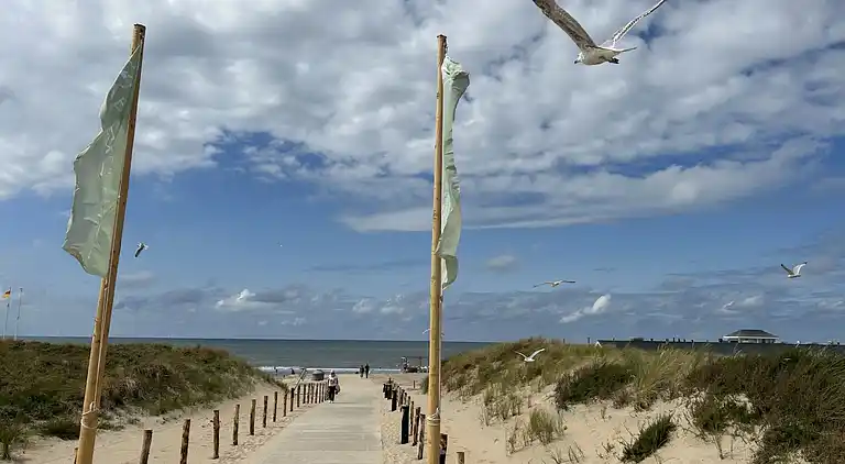 Feriebolig i Zuid-Holland