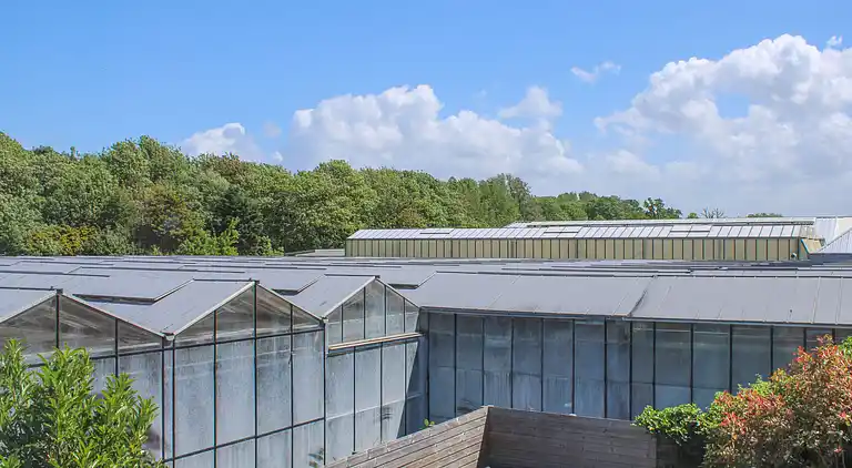 Holiday home in Koudekerke