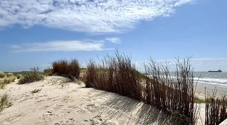 Holiday home in Koudekerke