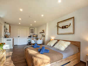 Chalet in Wolphaartsdijk