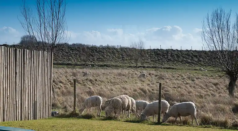 Feriebolig i Sint Philipsland