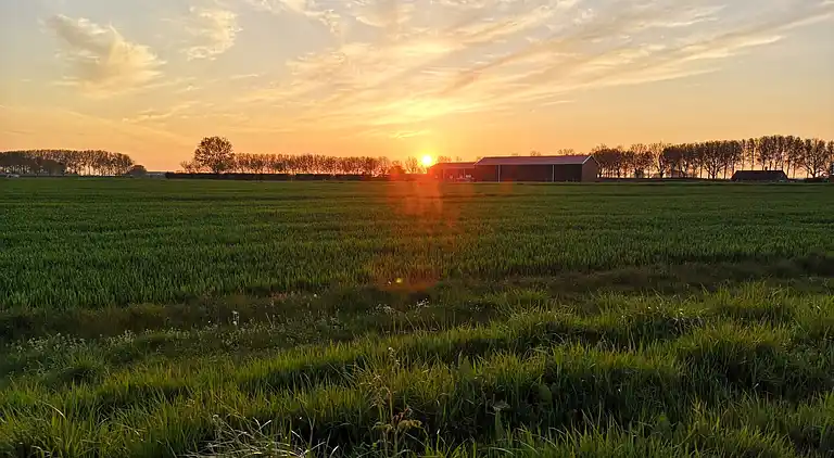 Semesterbostad i Schoondijke